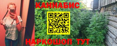 гидра Обь