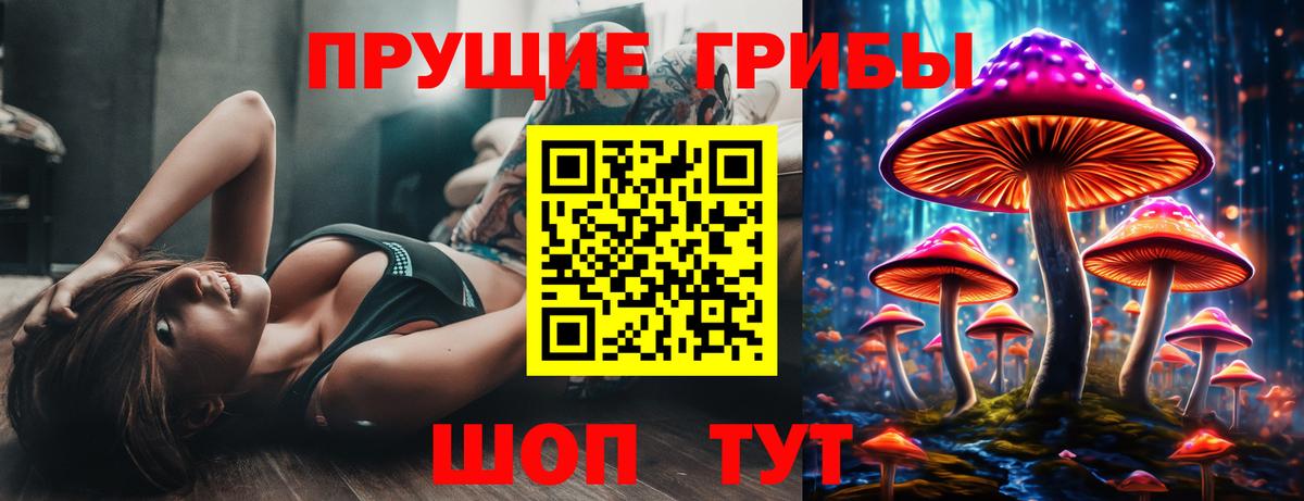 Ставрополь  Псилоцибиновые грибы MAGIC MUSHROOMS  Вход с VPN 